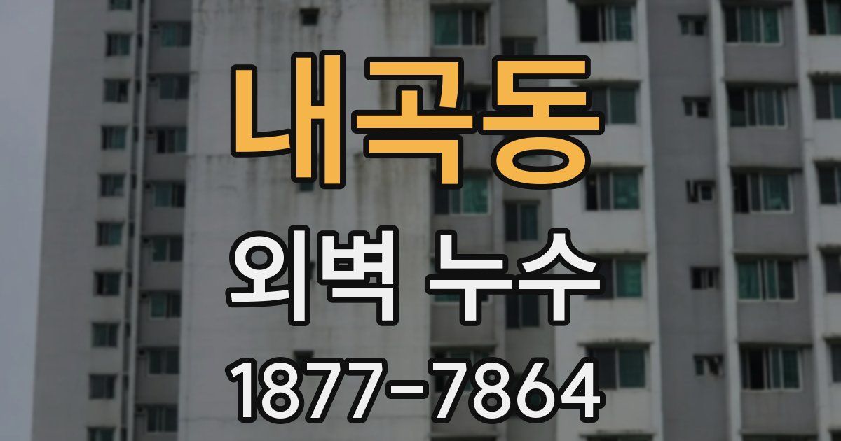 내곡동 외벽 누수