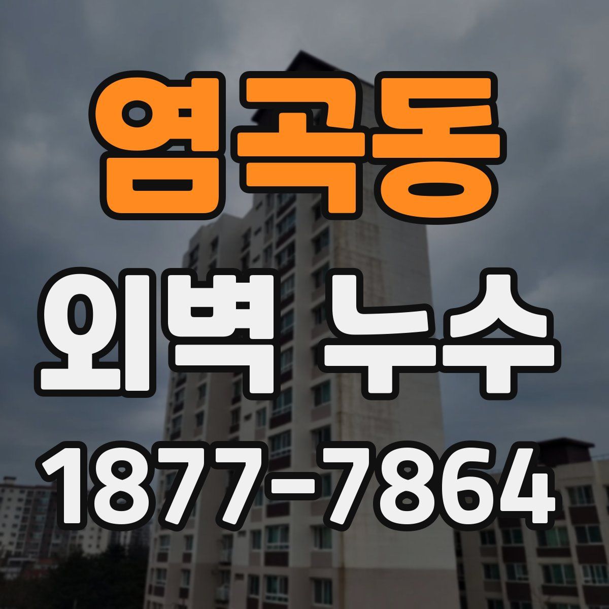 염곡동 외벽 누수