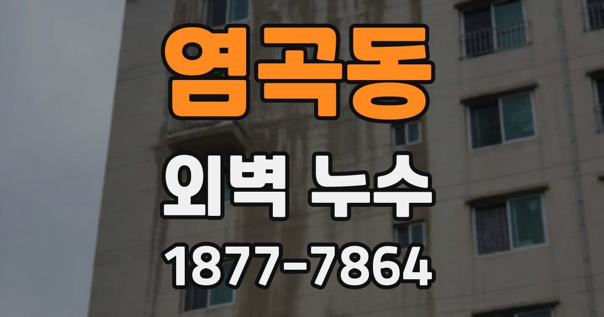 염곡동 외벽 누수