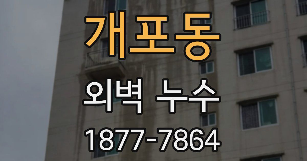 개포동 외벽 누수