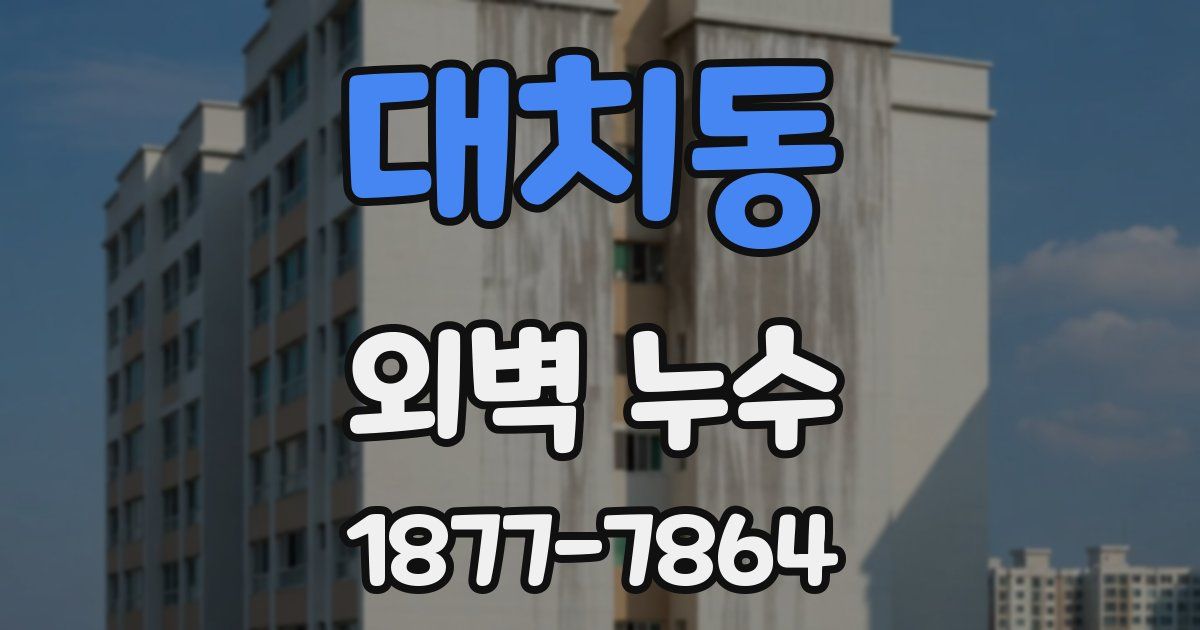 대치동 외벽 누수