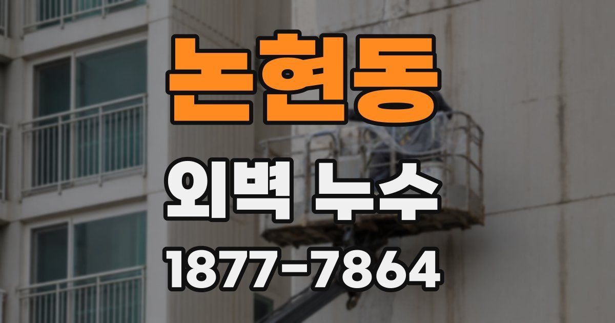 논현동 외벽 누수