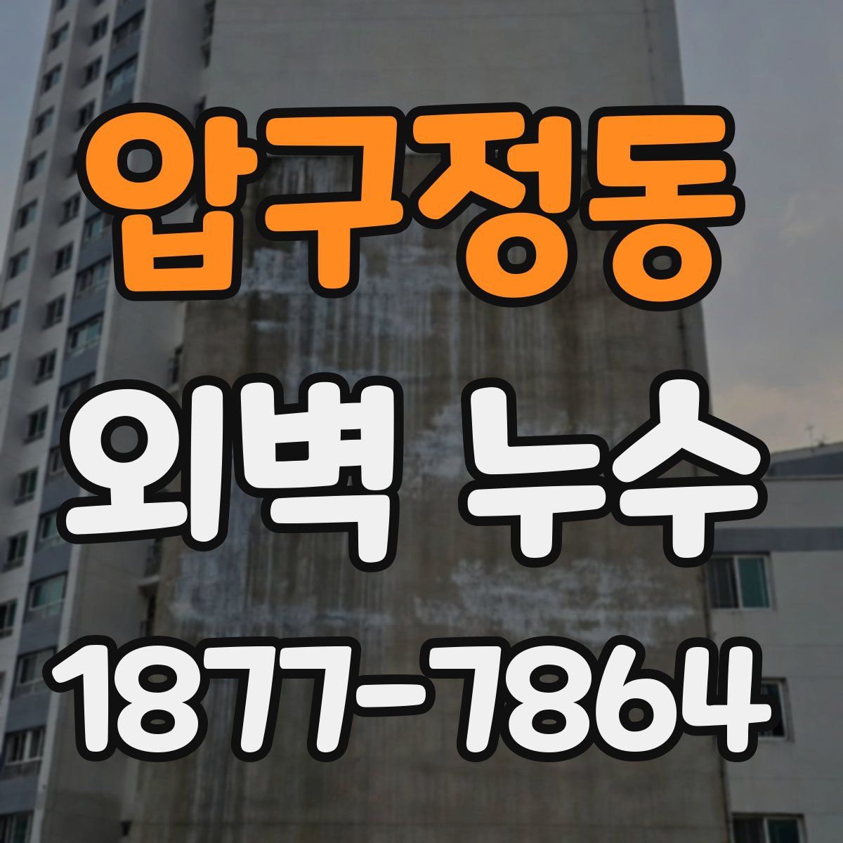 압구정동 외벽 누수