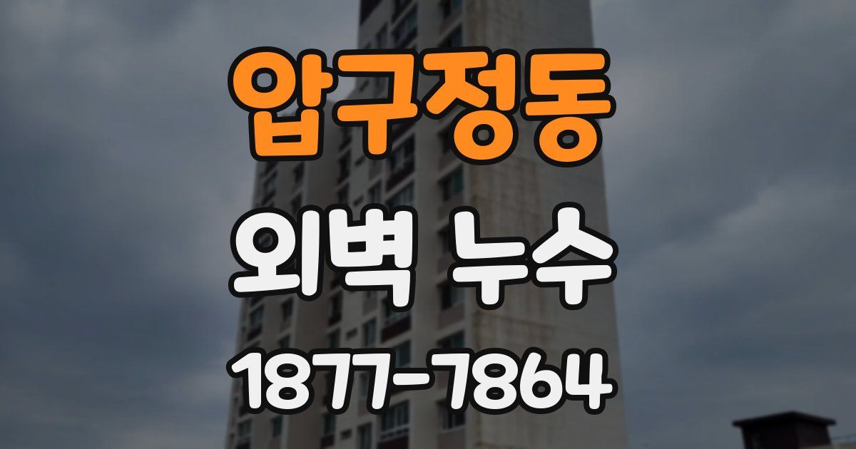 압구정동 외벽 누수