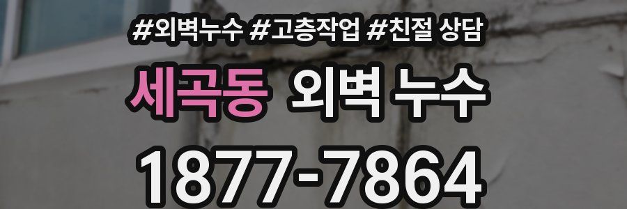 세곡동 외벽 누수