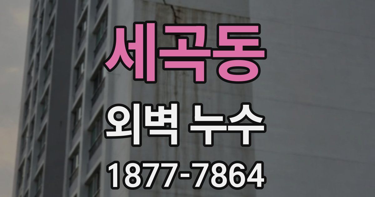 세곡동 외벽 누수