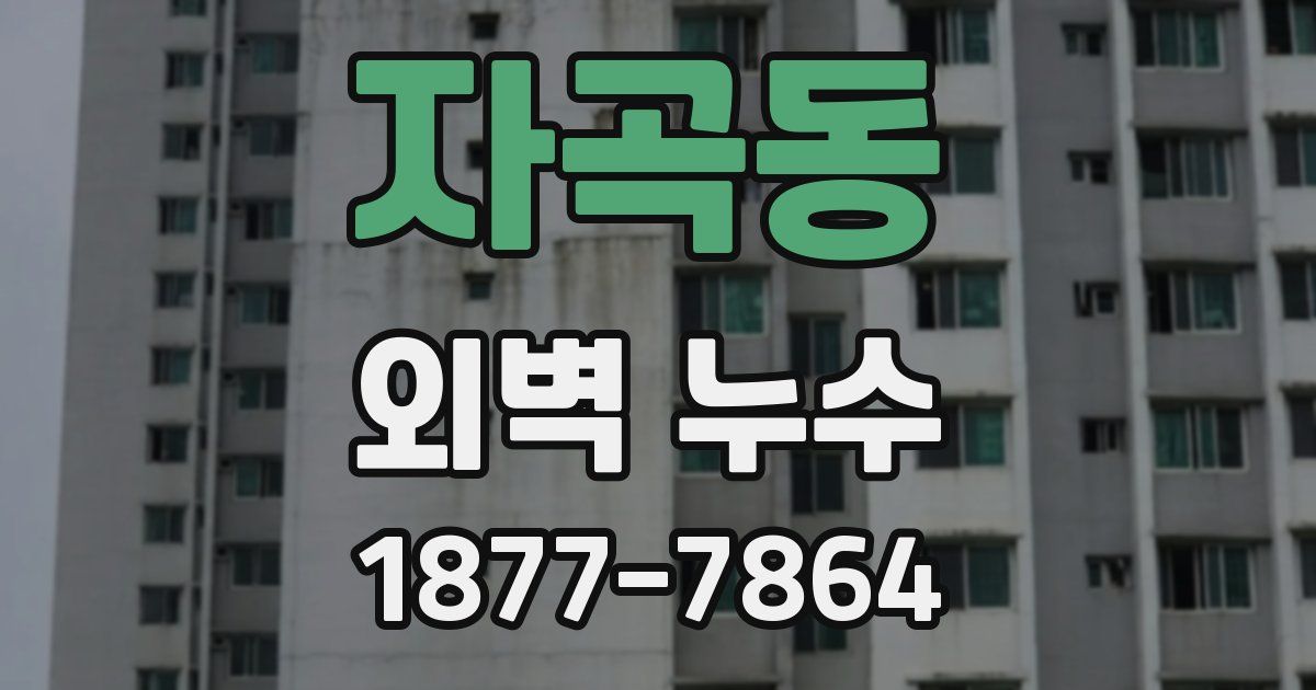 자곡동 외벽 누수