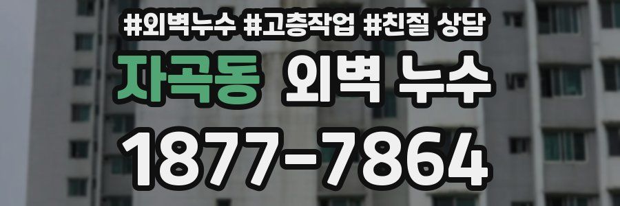 자곡동 외벽 누수