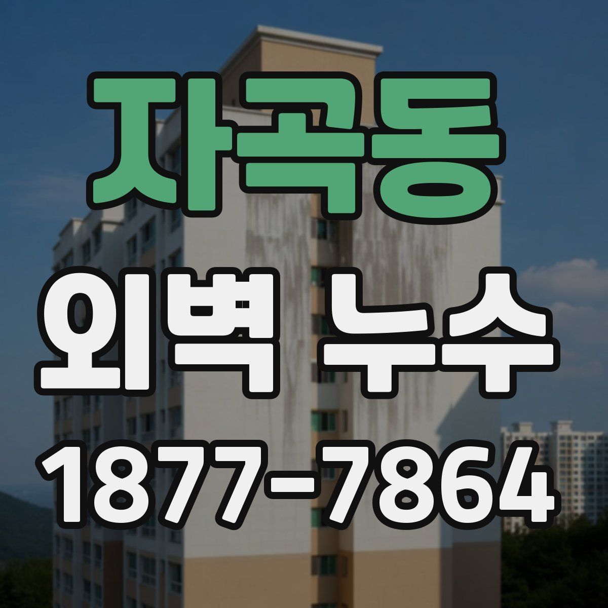 자곡동 외벽 누수