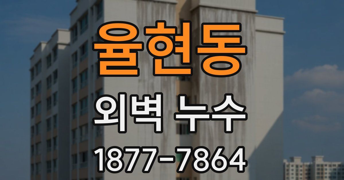 율현동 외벽 누수