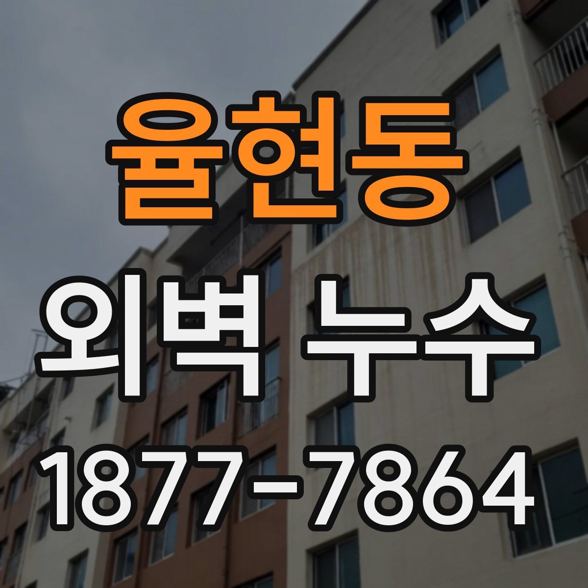 율현동 외벽 누수