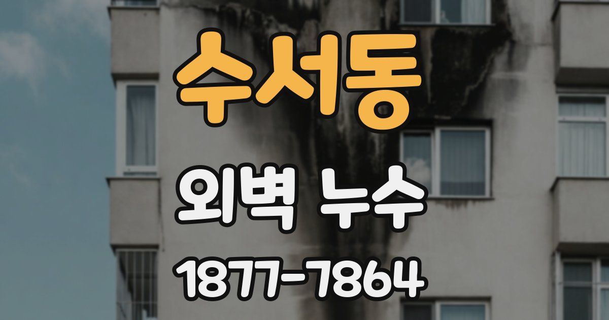 수서동 외벽 누수