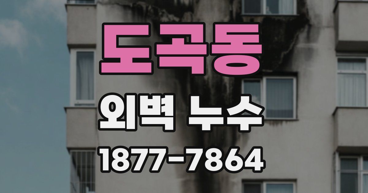 도곡동 외벽 누수