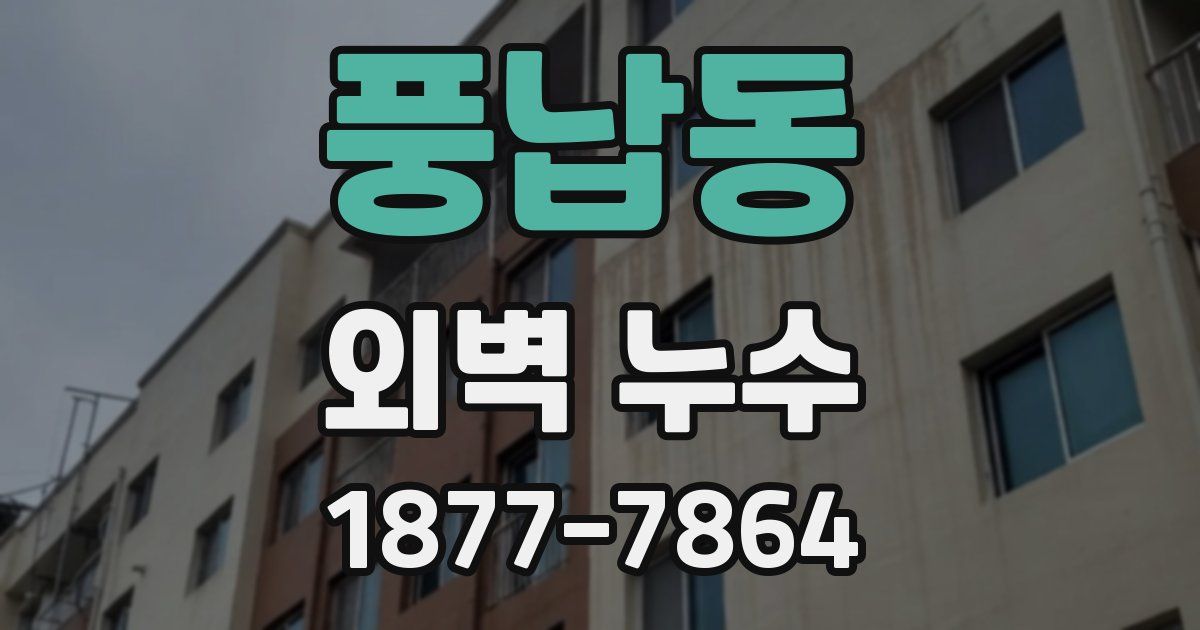 풍납동 외벽 누수