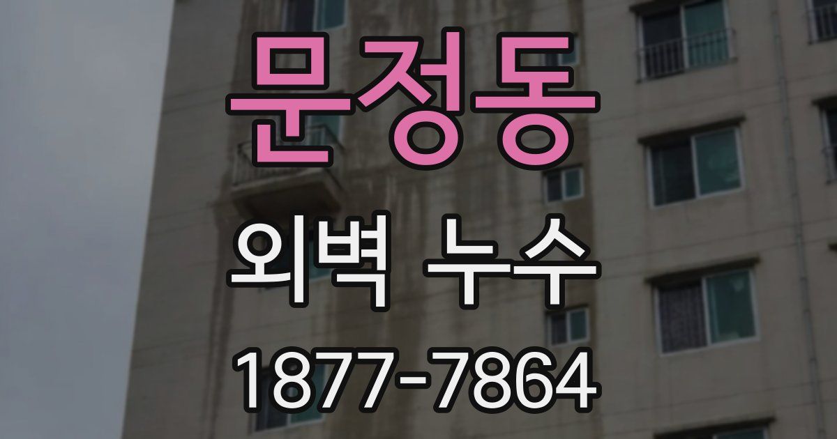 문정동 외벽 누수