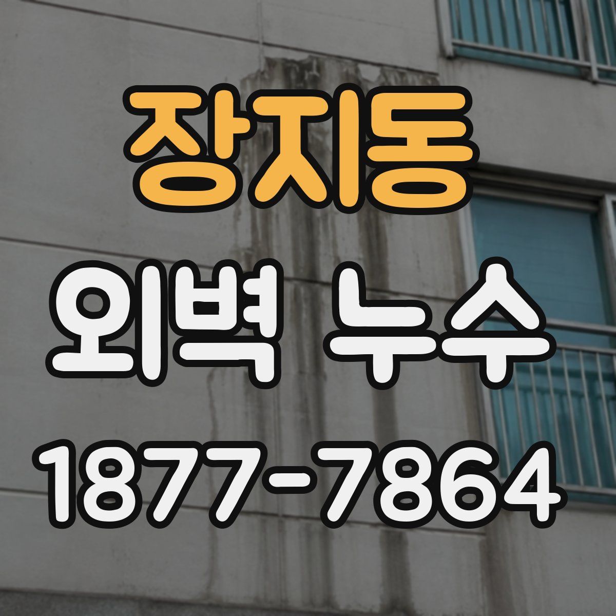 장지동 외벽 누수