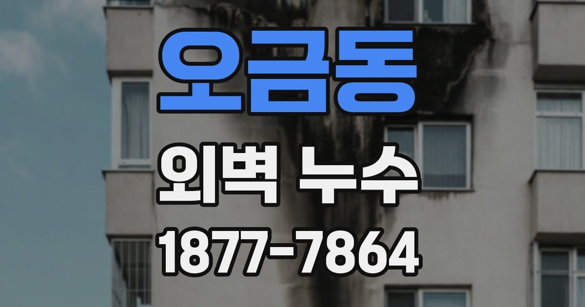 오금동 외벽 누수