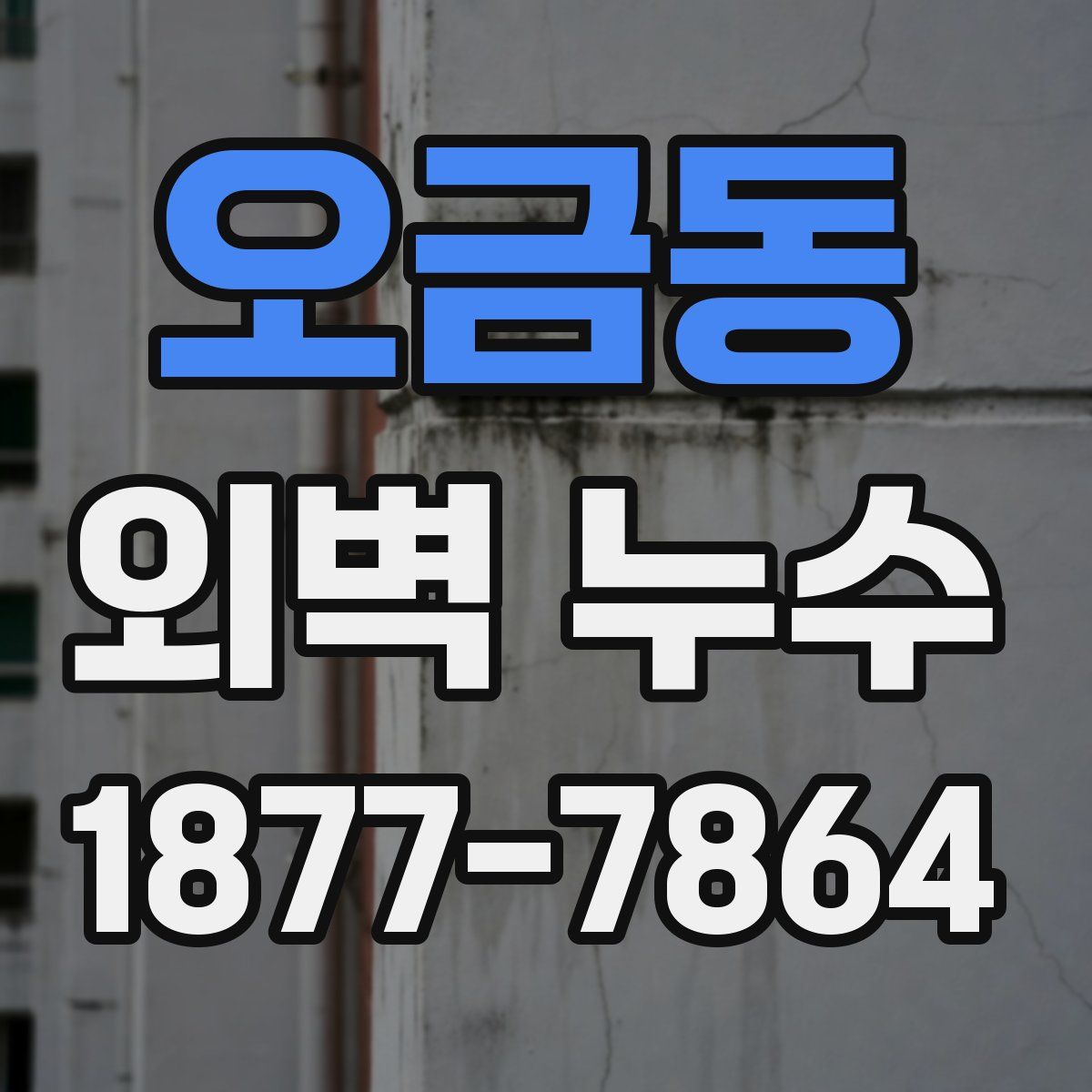 오금동 외벽 누수