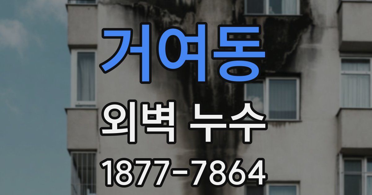 거여동 외벽 누수