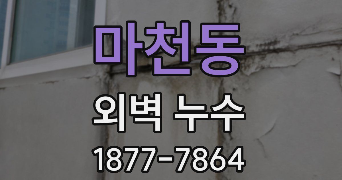 마천동 외벽 누수