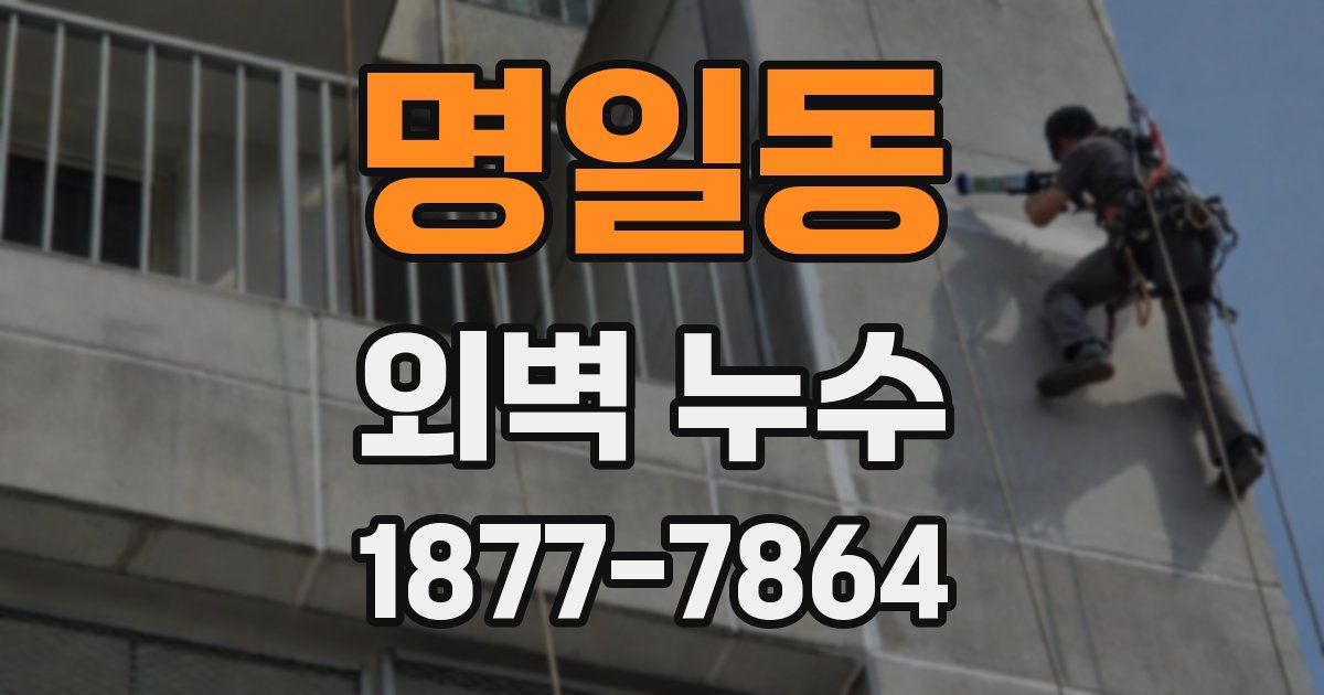 명일동 외벽 누수