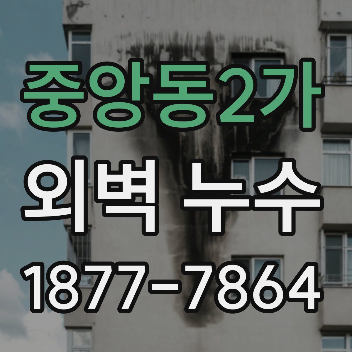 중앙동2가 외벽 누수