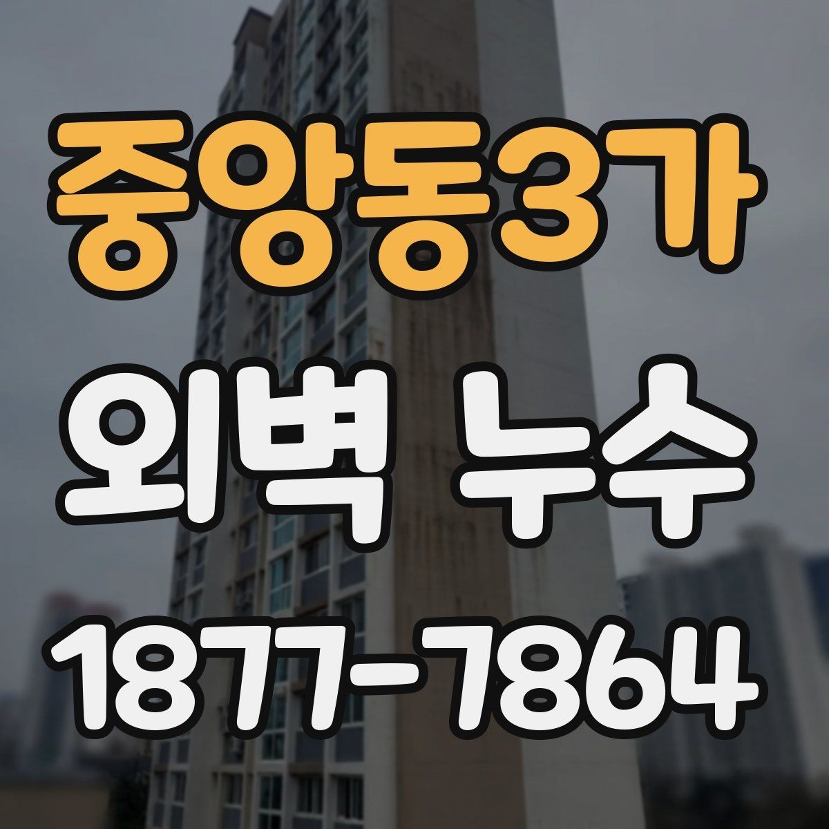 중앙동3가 외벽 누수 진단을 위한 현장 확인 순서
