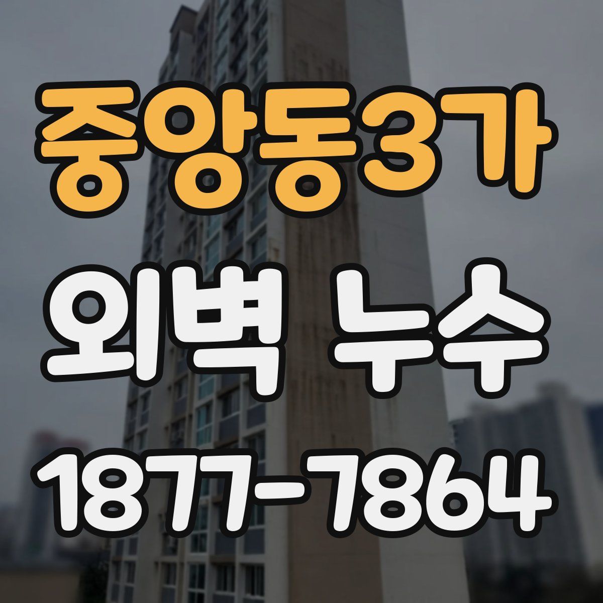 중앙동3가 외벽 누수