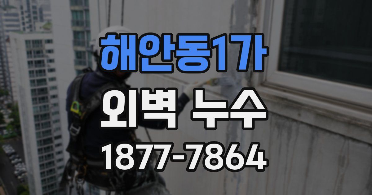 해안동1가 외벽 누수