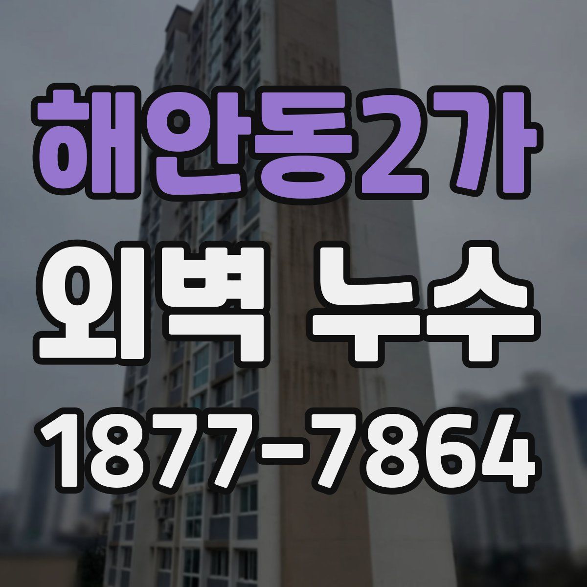 해안동2가 외벽 누수