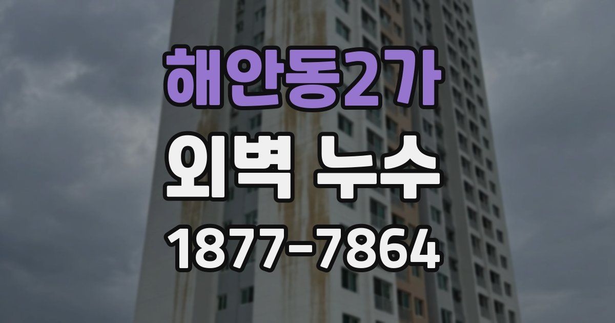 해안동2가 외벽 누수
