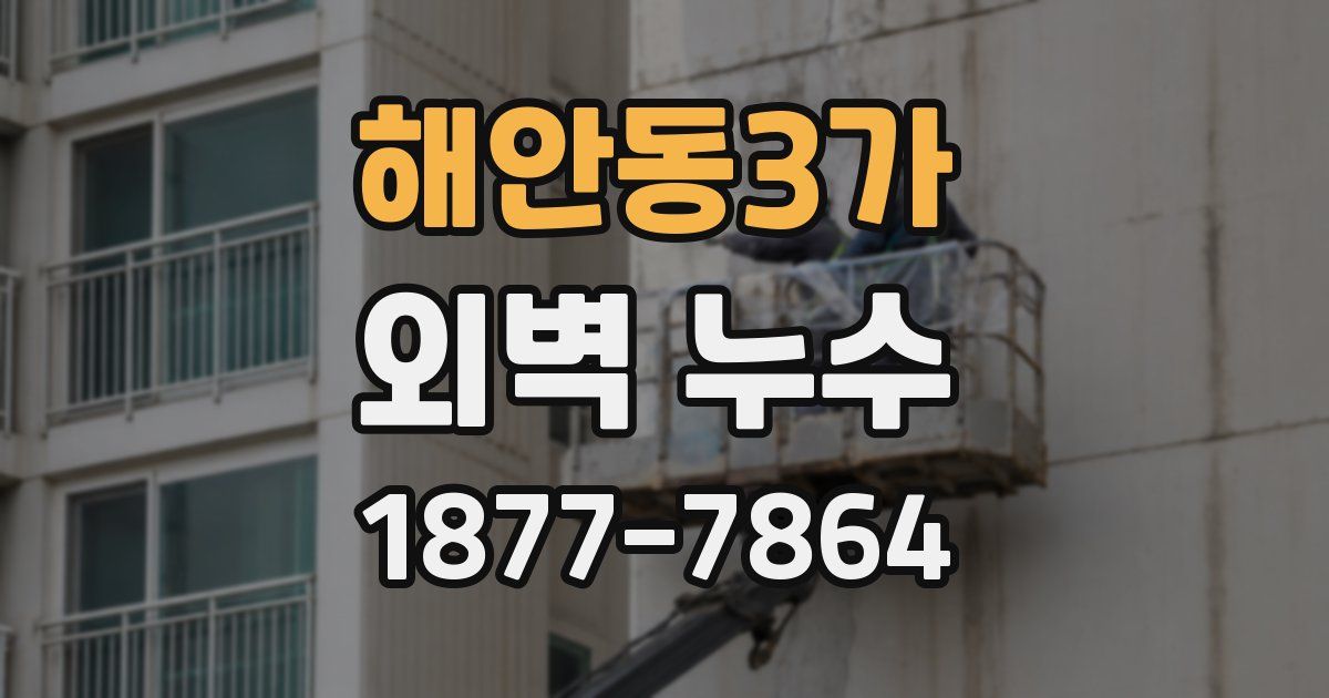 해안동3가 외벽 누수