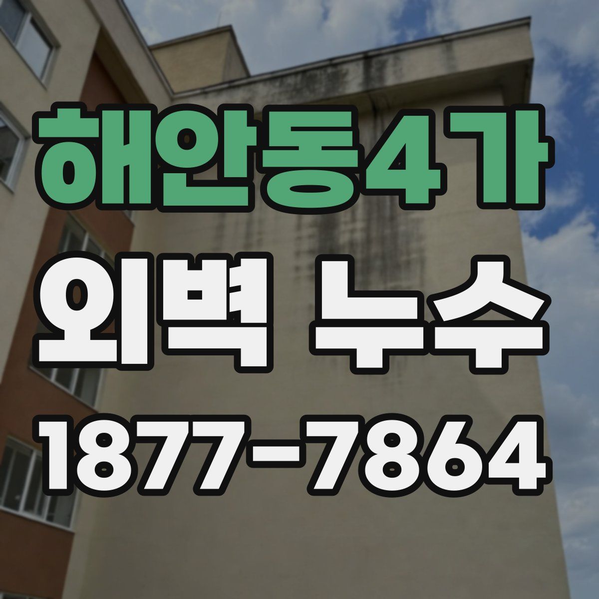해안동4가 외벽 누수