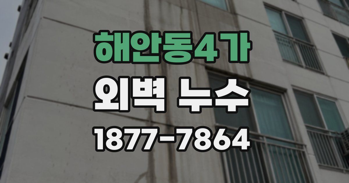 해안동4가 외벽 누수