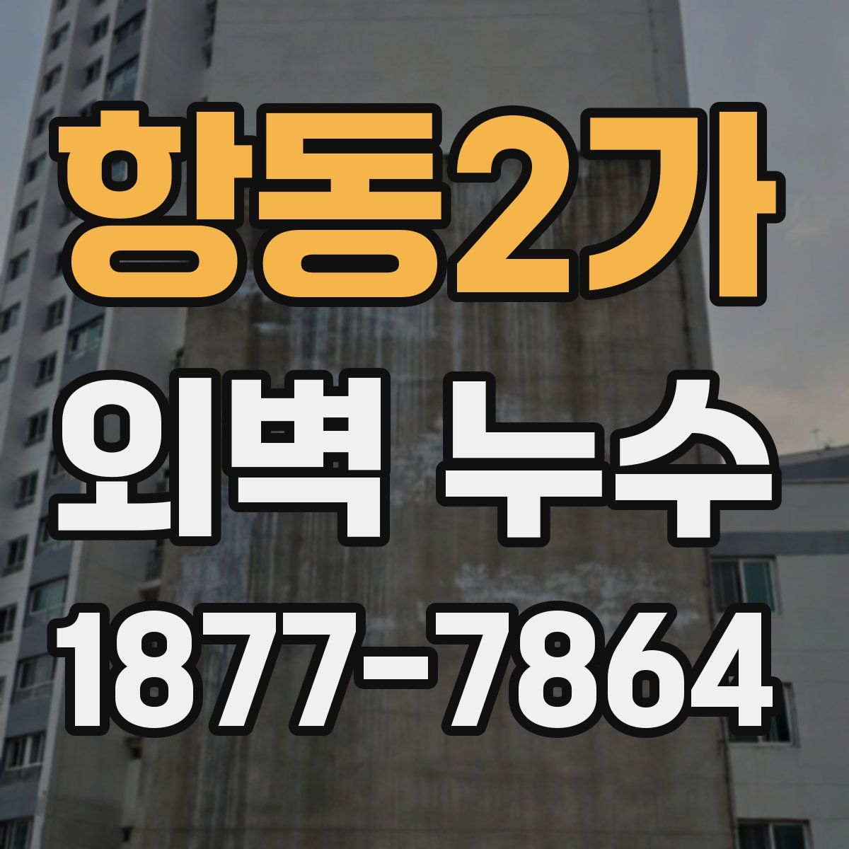 항동2가 외벽 누수