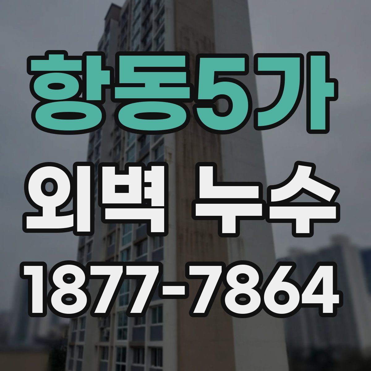 항동5가 외벽 누수