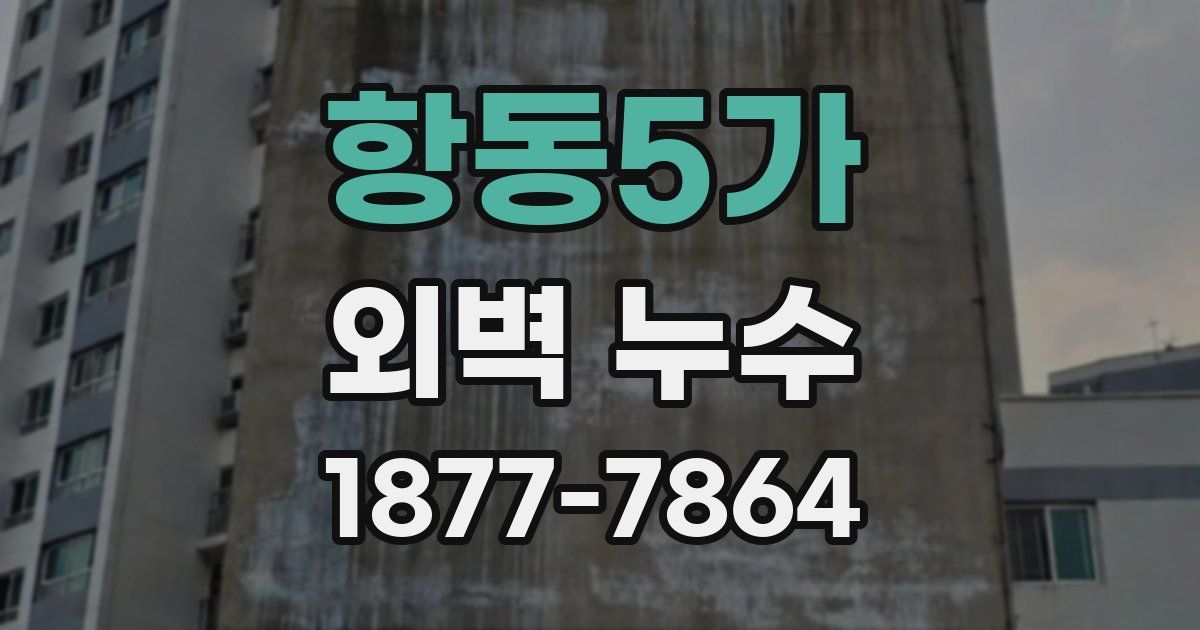 항동5가 외벽 누수