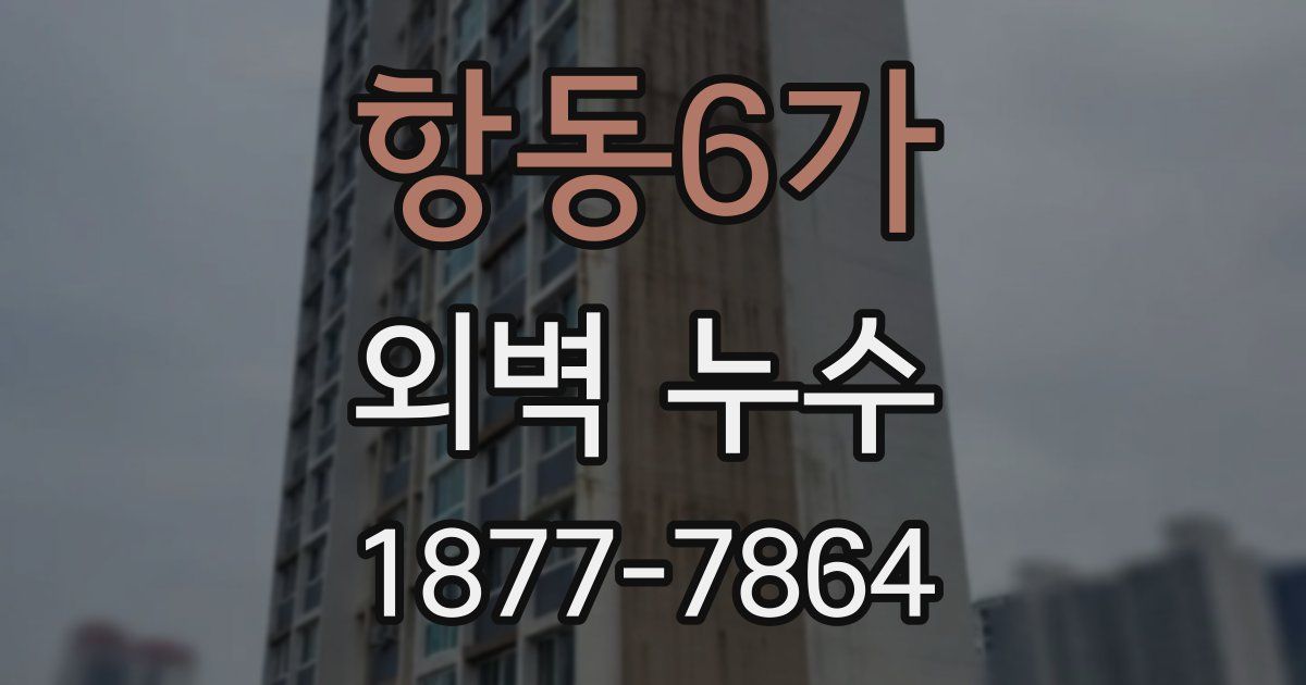 항동6가 외벽 누수