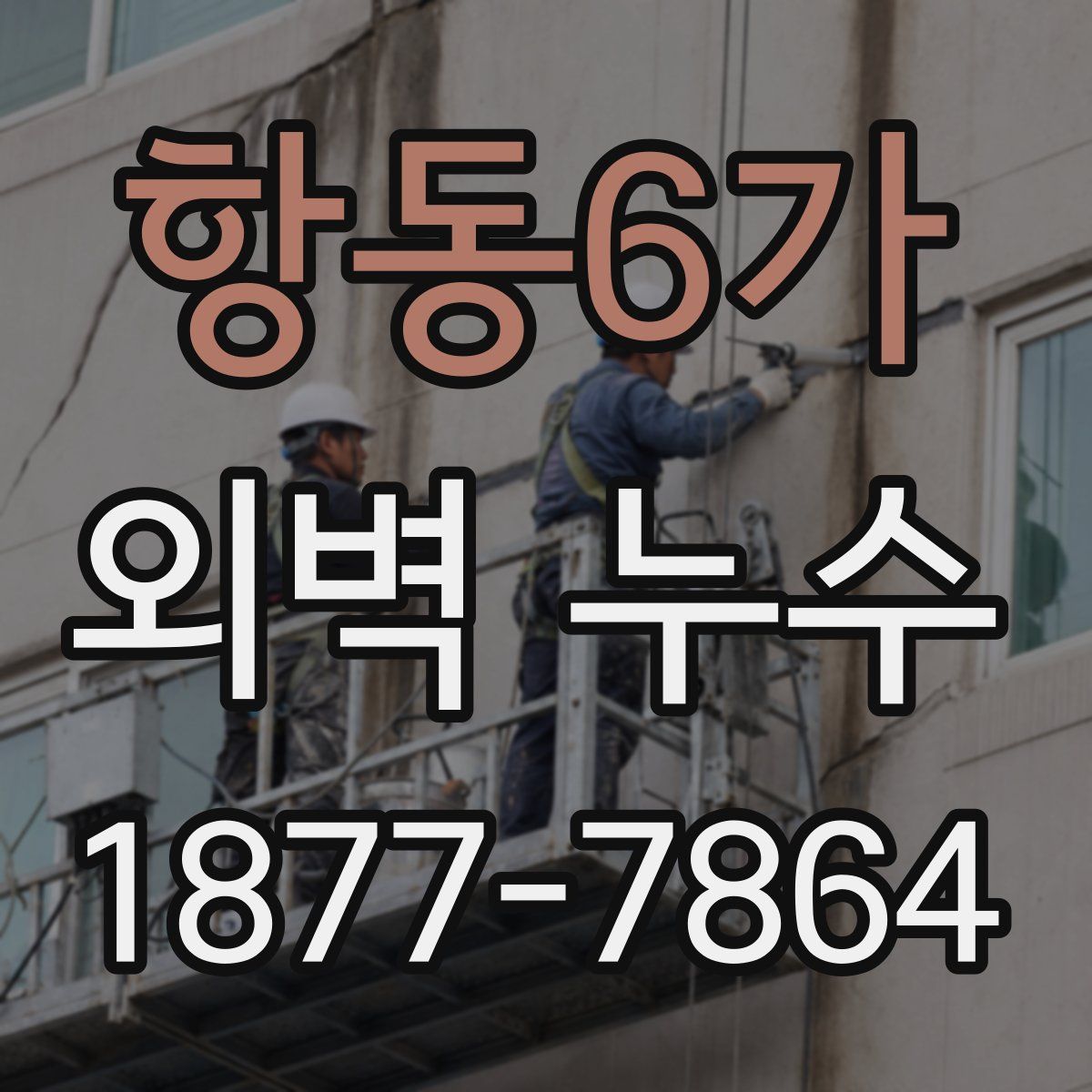 항동6가 외벽 누수