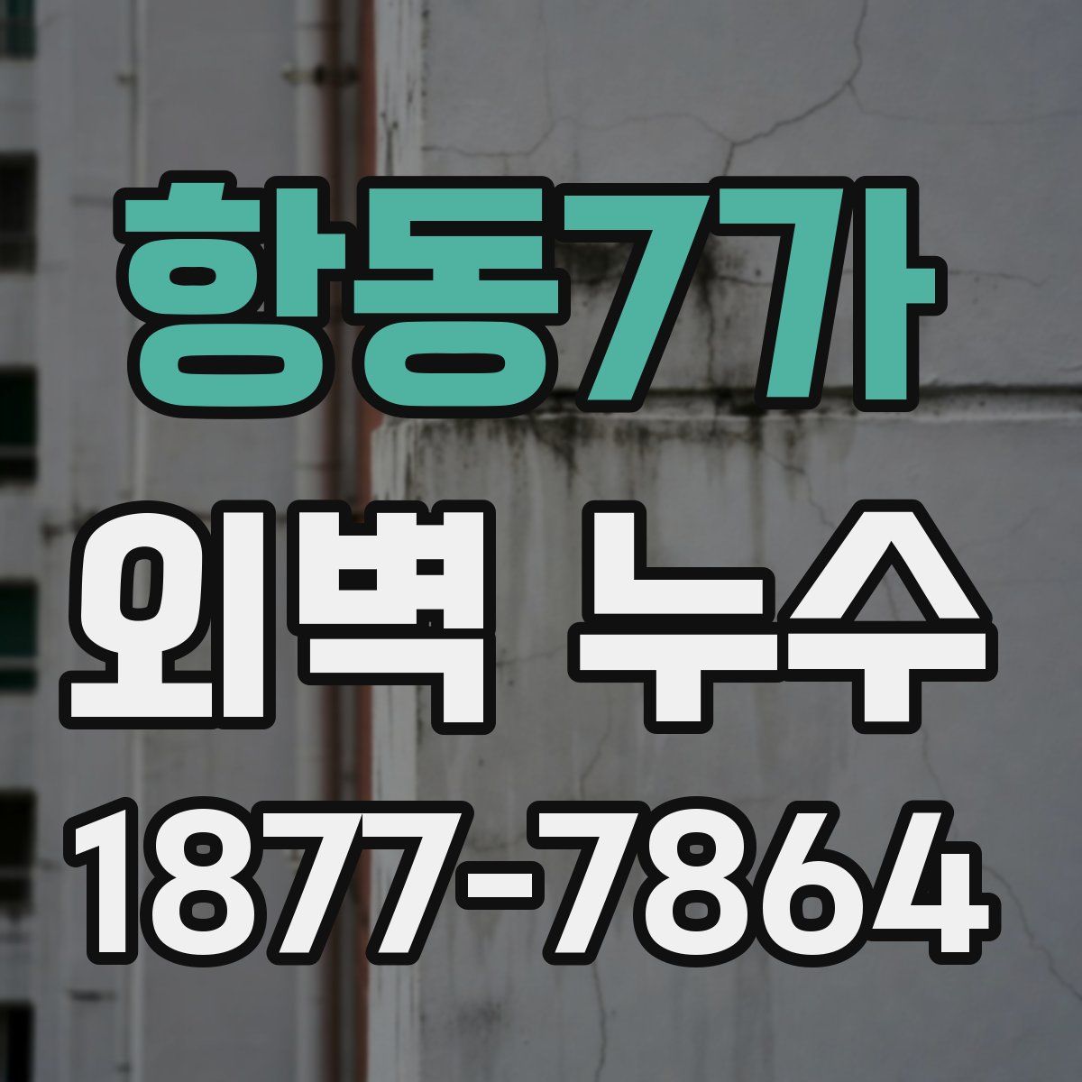 항동7가 외벽 누수