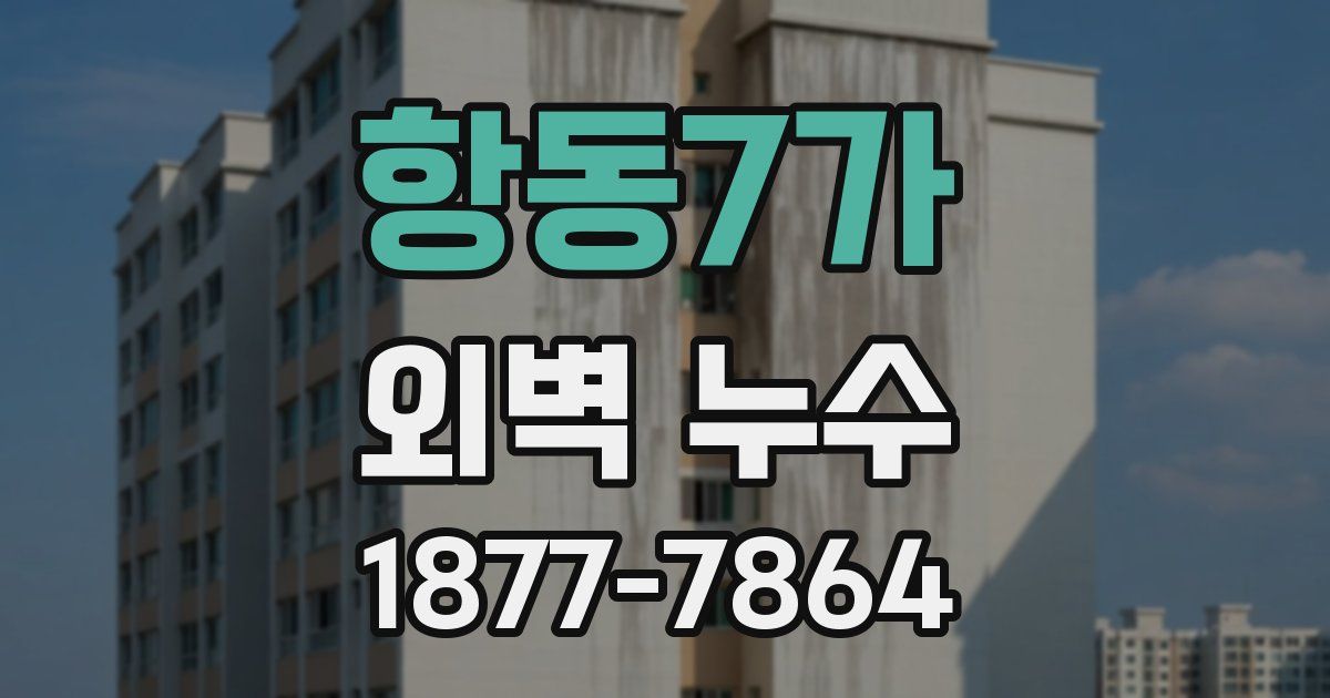 항동7가 외벽 누수