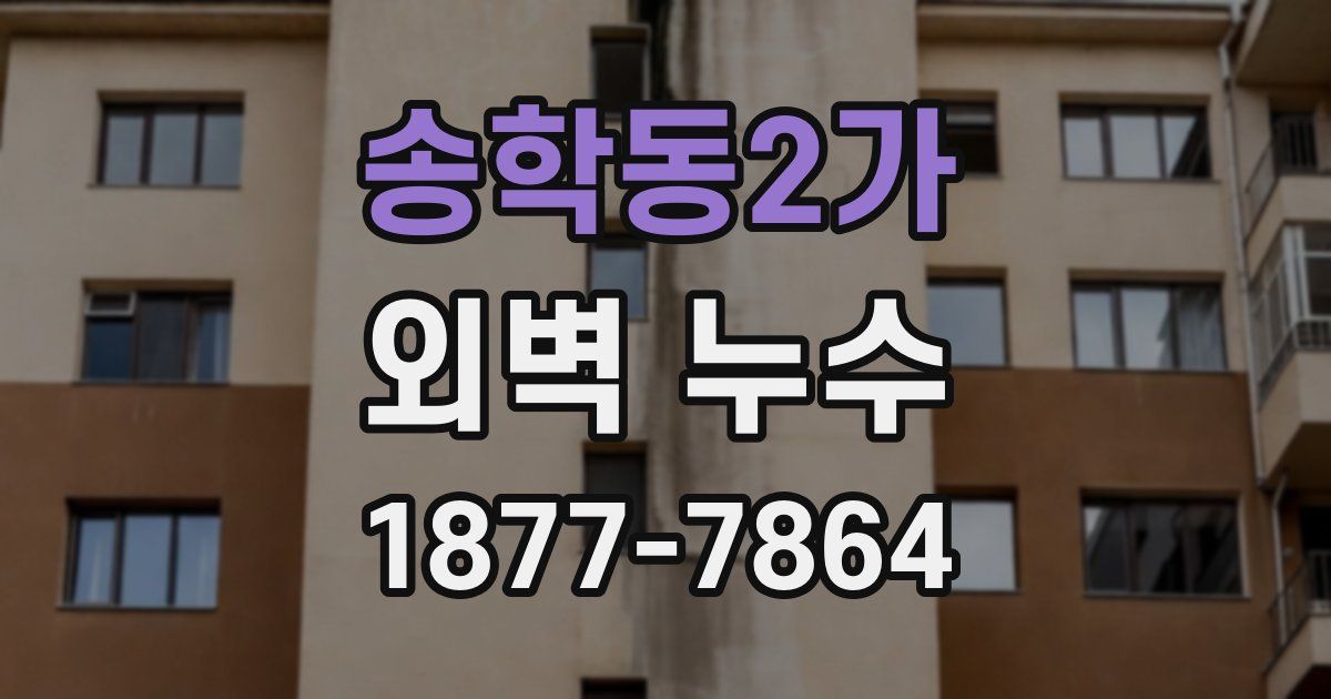송학동2가 외벽 누수