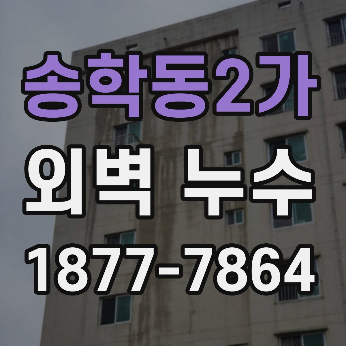 송학동2가 외벽 누수