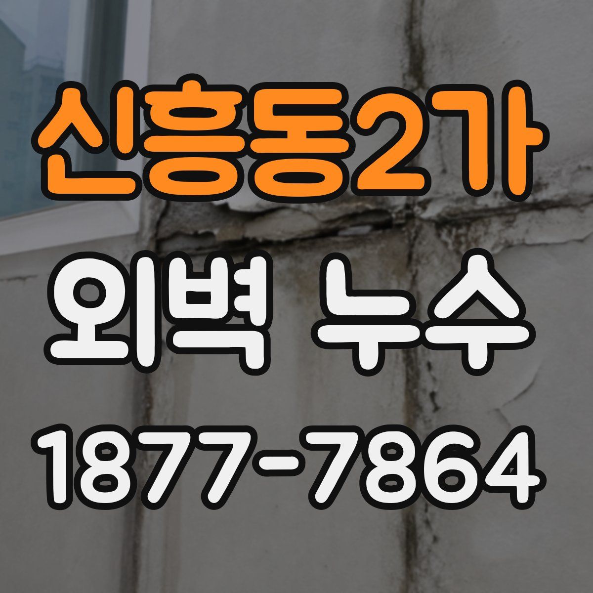 신흥동2가 외벽 누수