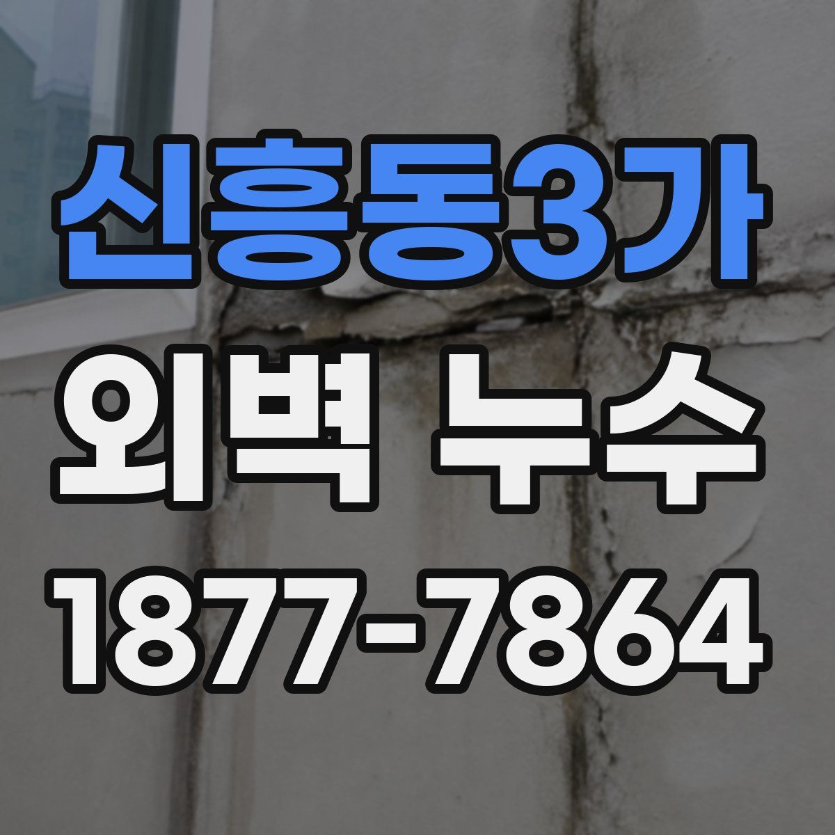 신흥동3가 외벽 누수