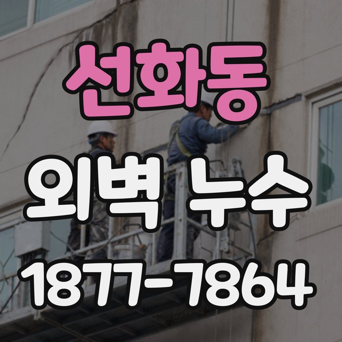 선화동 외벽 누수 보수 자재를 고르는 기준