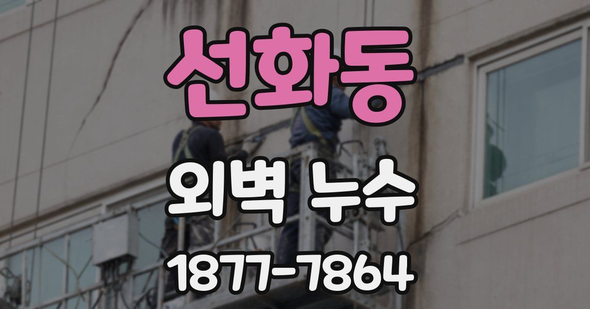 선화동 외벽 누수