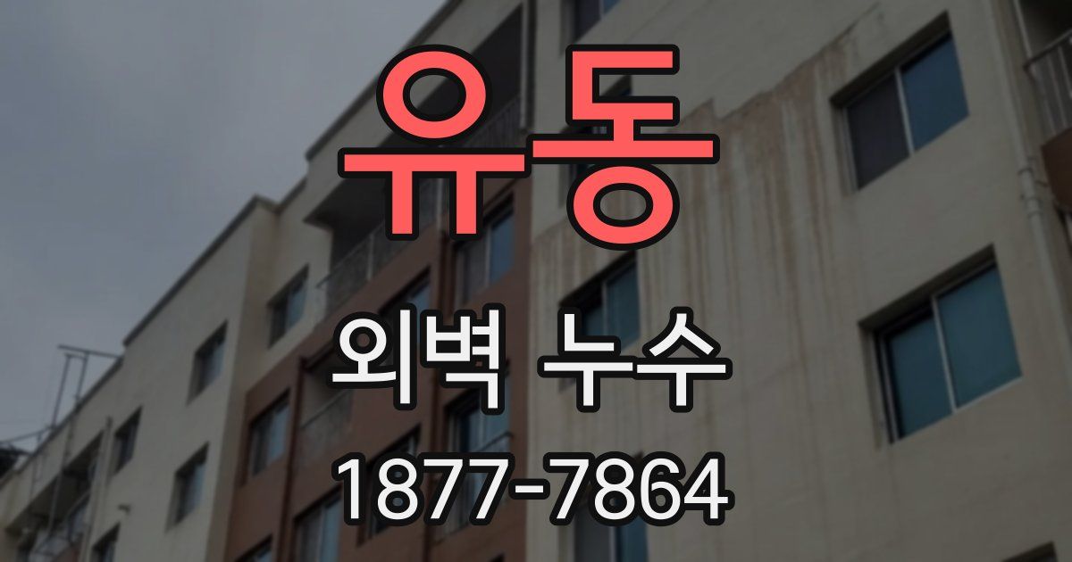 유동 외벽 누수