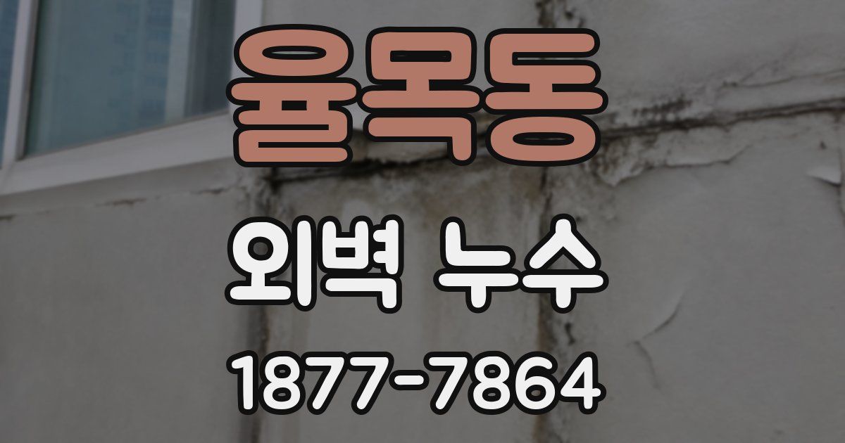 율목동 외벽 누수