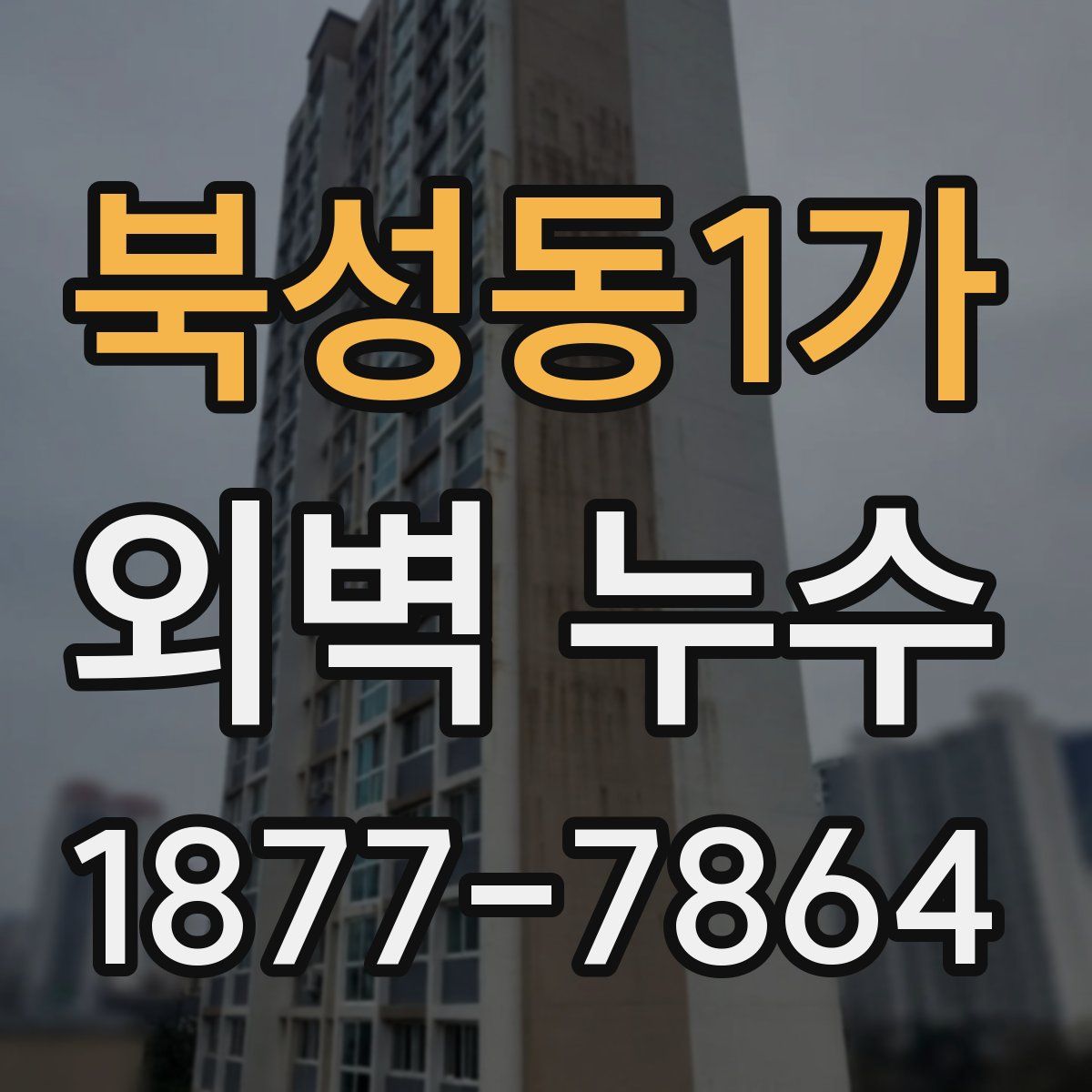 북성동1가 외벽 누수